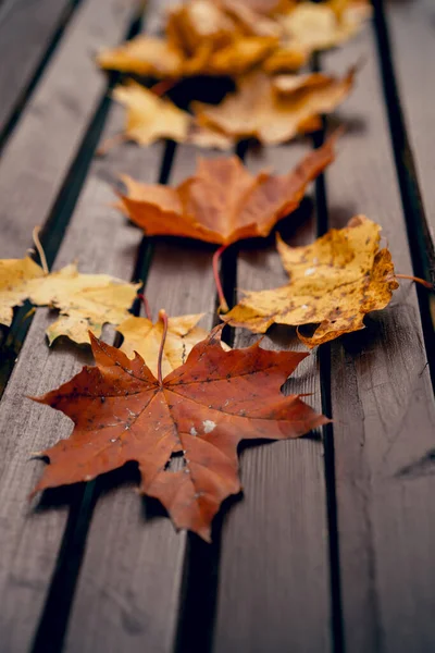 Herbsthintergrund Gelbe Blätter Auf Einer Holzbank Park — Stockfoto