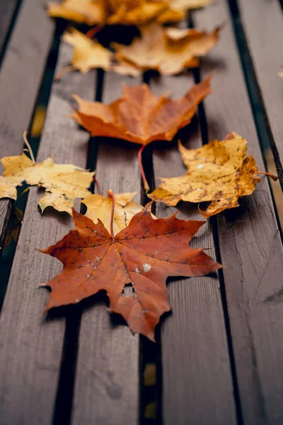 Herbsthintergrund Gelbe Blätter Auf Einer Holzbank Park — Stockfoto