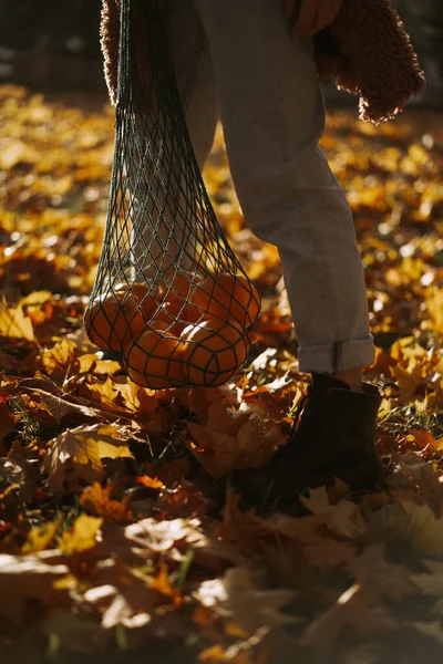 Jonge Mooie Vrouw Met Een Hoed Een Herfstpark Een Touwtje — Stockfoto