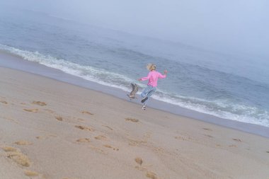 Sandy Hook Sahili, New Jersey, ABD, turistler için ilgi çekici yerler. Seni...
