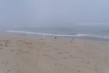 Sandy Hook Plajı, New Jersey, ABD, turistler için ilgi çekici yerler.