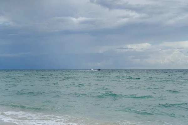 Beach Miami Florida Verenigde Staten Kustlijn — Stockfoto