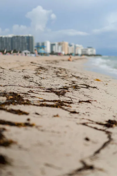 Beach Miami Florida Verenigde Staten Kustlijn — Stockfoto