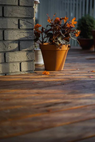 Terrazzo Con Pavimento Legno Fiori Vaso — Foto Stock