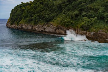 Tropikal bir zemin, mavi suyu olan bir sahil, taşa vuran dalgalar
