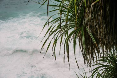 Okyanus, arka plan. Köpüklü ve dalgalı mavi okyanus, doğal sırt.