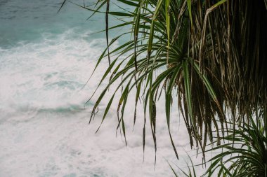 Okyanus, arka plan. Köpüklü ve dalgalı mavi okyanus, doğal sırt.