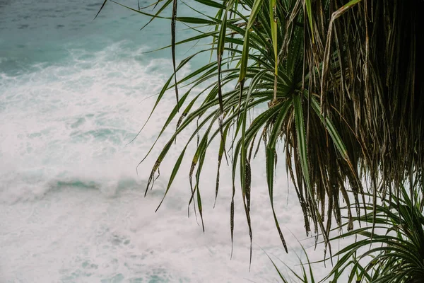 Okyanus, arka plan. Köpüklü ve dalgalı mavi okyanus, doğal sırt.