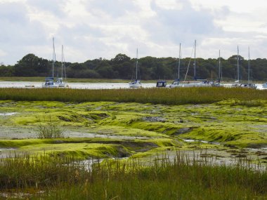 Sudaki yatlar alçak gelgitte