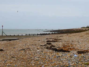 Denizin ve dalgaların olduğu sessiz bir çakıl taşı kumsalı manzarası