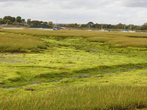 Вітрильники Лагуні Вода Зелена Місцевість Після Стоку Води — стокове фото