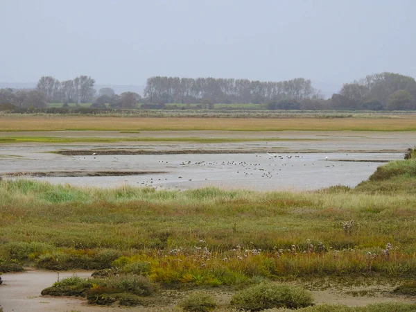 Vista Una Pianura Alluvionale Umida Con Bassa Vegetazione — Foto Stock