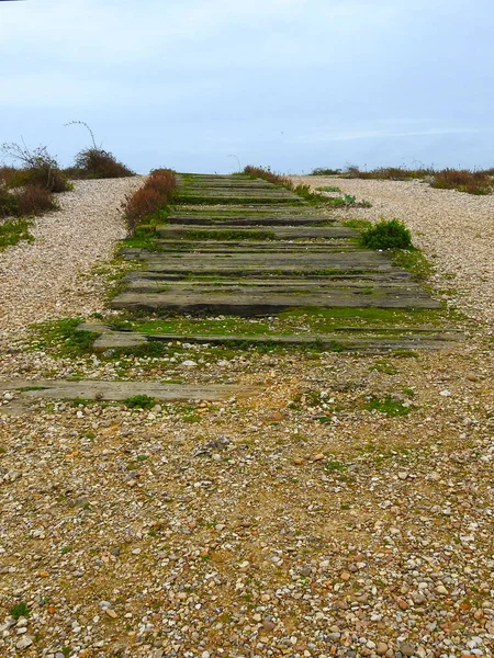 Vecchie Travi Legno Trovano Sulla Spiaggia Come Passerella — Foto Stock