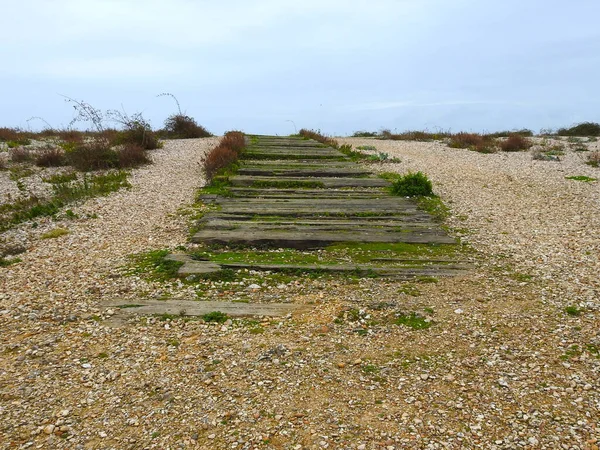 Vecchie Travi Legno Trovano Sulla Spiaggia Come Passerella — Foto Stock