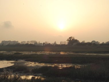 Su ve ağaçlarla kaplı yeşil taşkın ovasının üzerinde gün batımı