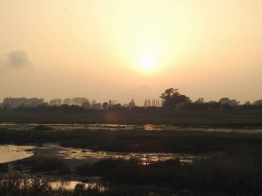 Su ve ağaçlarla kaplı yeşil taşkın ovasının üzerinde gün batımı