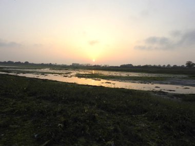 Su ve ağaçlarla kaplı yeşil taşkın ovasının üzerinde gün batımı