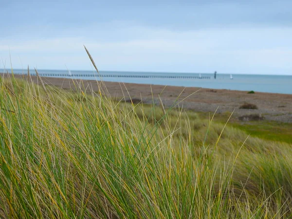 Uitzicht Het Gras Aan Het Strand Met Uitzicht Zee — Stockfoto