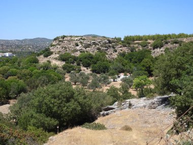 Ağaçlı kuru dağlık alanların görüntüsü