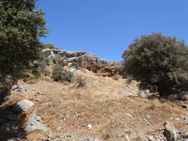 Eğri arazide kayalar, çimenler ve kuru iklimlerde birkaç ağaç.