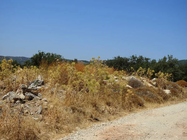 Del Lado Camino Rocoso Arenoso Una Zona Seca Grecia — Foto de Stock