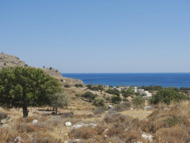 Kuru çimler, deniz ve kayalarla kaplı kuru bir arazide tepe