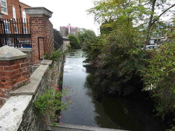 View of a small canal by the wall in a city with greenery
