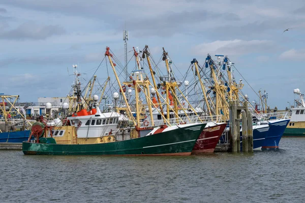 Рыболовные Суда Якоре Голландском Порту Высоких Цен Нефть — стоковое фото