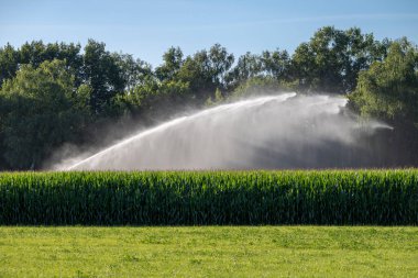 Irrigation system on a meadow in the north of the Netherlands
