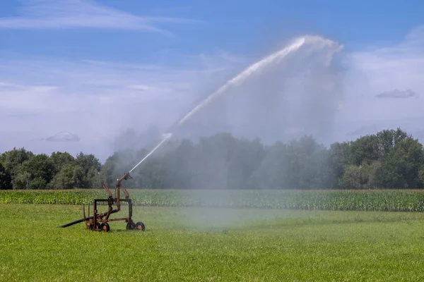 Irrigation System Meadow North Netherlands — Foto Stock