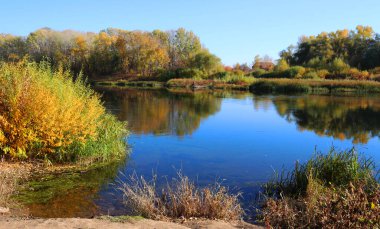 Nehir kıyısında muhteşem bir doğa.