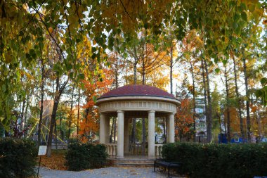 Altın sonbaharda parktaki çardak