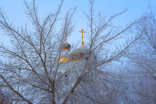 Branches Covered Frost Domes Temple Visible — Stock Photo, Image