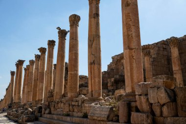 Ürdün 'deki Jerash şehri harabeleri