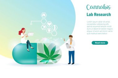 Esrar, marihuana alternatif tıp, kapsülde ilave haplar kenevir yaprakları ve laboratuvar araştırması yapan eczacılar. Alternatif bitkisel tıp konsepti.