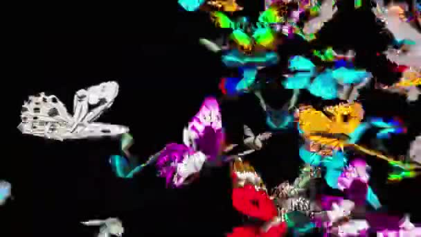 Panaroma Pohyb Pozadí Abstraktní Grafikou Futuristické Světlo Víření Efekt — Stock video