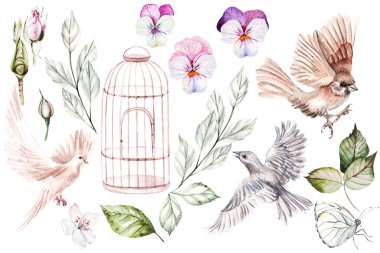 Çiçekler ve kuşlarla dolu güzel bir suluboya seti. Görüntü