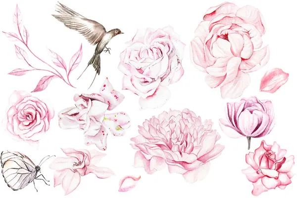 Krásná Akvarel Set Ptáky Květinami Pivoňka Růže Ilustrace — Stock fotografie
