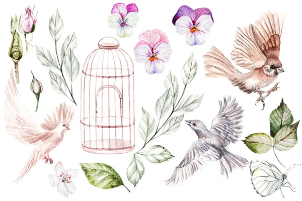 Çiçekler ve kuşlarla dolu güzel bir suluboya seti. Görüntü