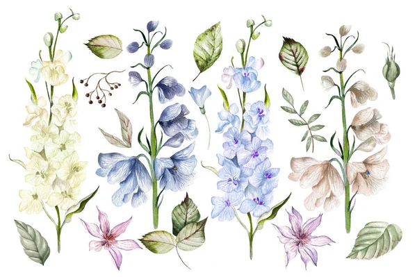 Aquarel Set Met Verschillende Wilde Bloemen Bladeren — Stockfoto