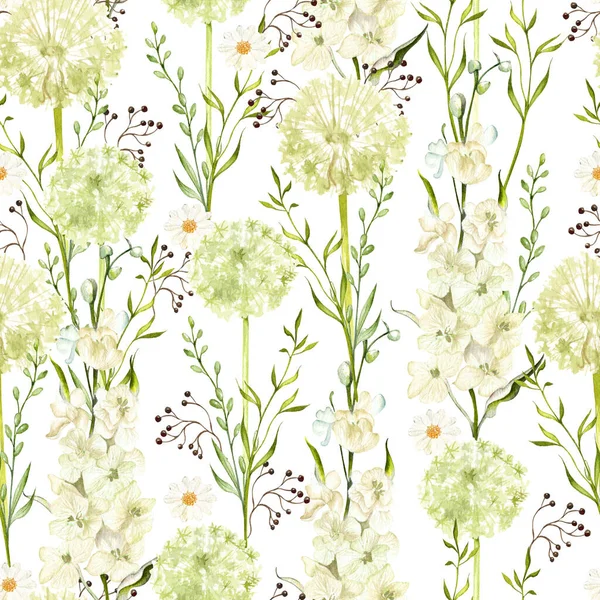Watercolor Pattern Wild Flowers Dandelion Chamomile Illustratio — Stock Photo, Image