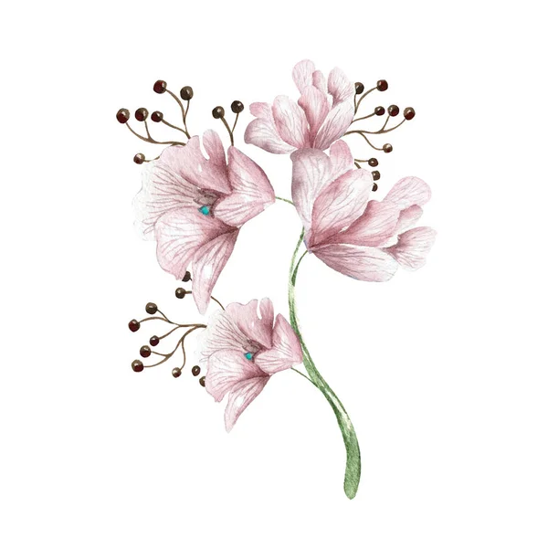 Buquê Aquarela Com Flores Delphinium Bagas Ilustração — Fotografia de Stock