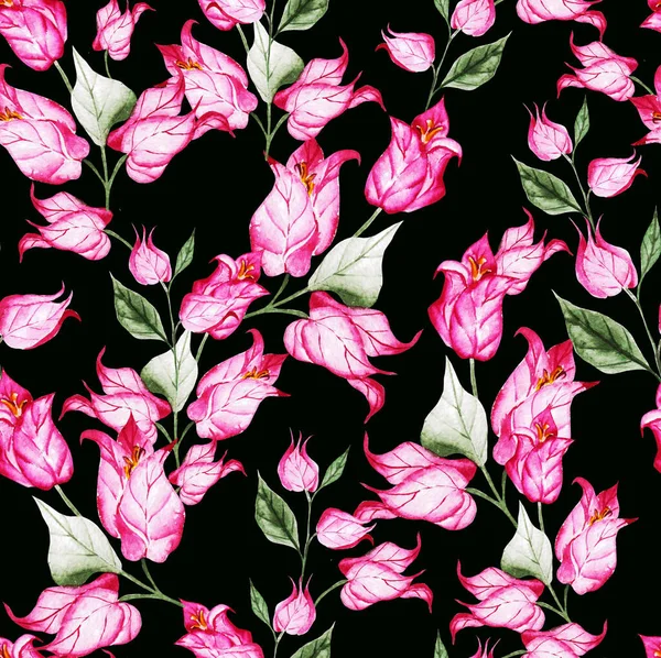 Όμορφα Μπουκαμβίλιες Λουλούδια Κλαδιά Αναρρίχησης Απρόσκοπτη Floral Μοτίβο Υδατογραφία Απεικόνιση — Φωτογραφία Αρχείου