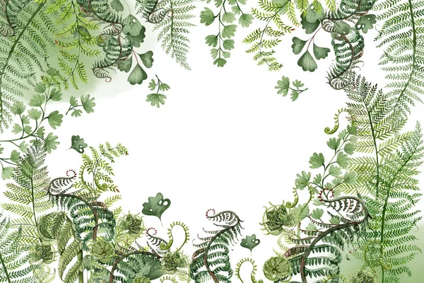 Beautiful card with ferns  isolated on white. Watercolor illustration.