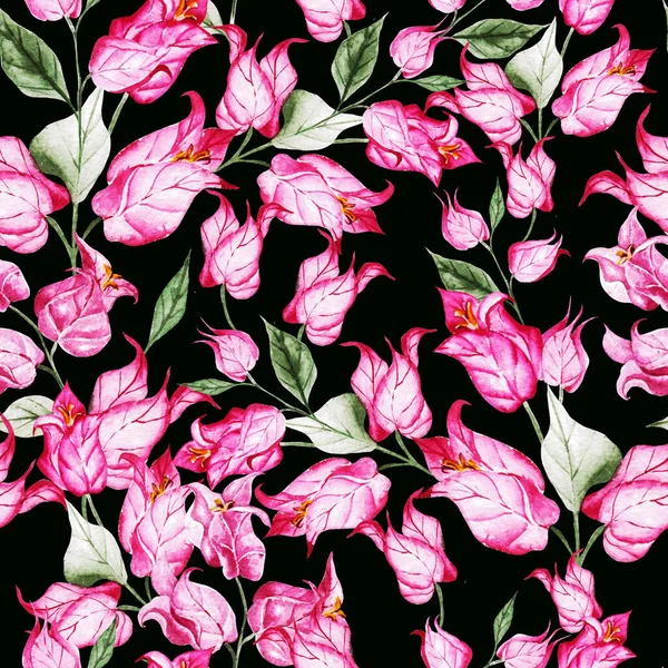 Schöne Bougainvillea Blüten Auf Kletternden Zweigen Nahtloses Blumenmuster Aquarellmalerei Illustration — Stockfoto