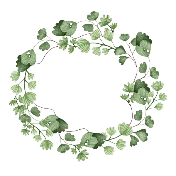 Watercolor Wreath Different Ferns Illustration — Stock Photo, Image