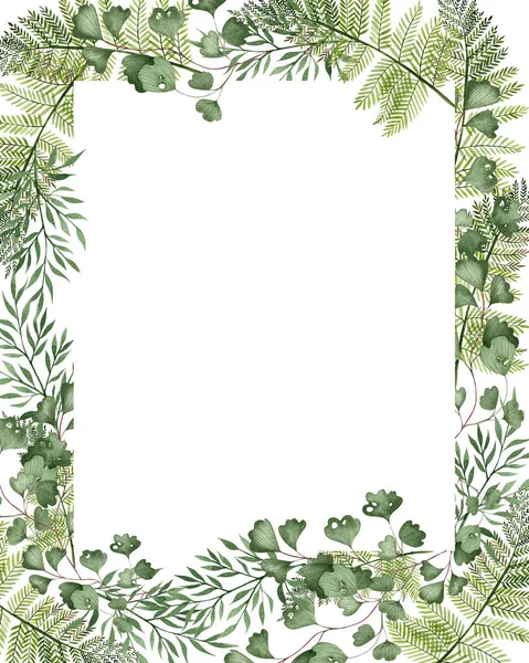 Beautiful Watercolor Card Different Ferns Illustration — Stock Photo, Image