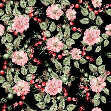 Güzel suluboya desenli, gül kalçası çiçekli ve yapraklı. Görüntü.