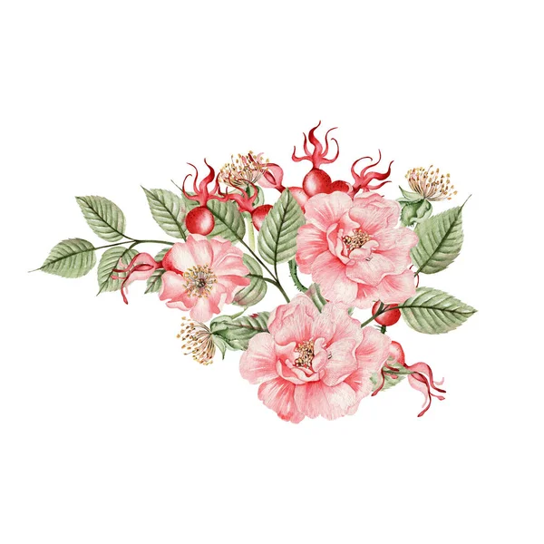 Gyönyörű Akvarell Csokor Rózsa Csípő Virágok Levelek Illusztráció — Stock Fotó