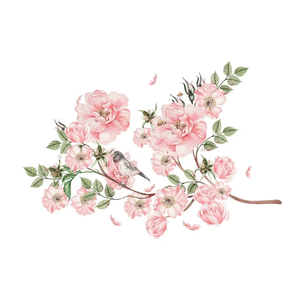 バラのヒップの花や葉を持つ美しい水彩ブーケ イラスト — ストック写真